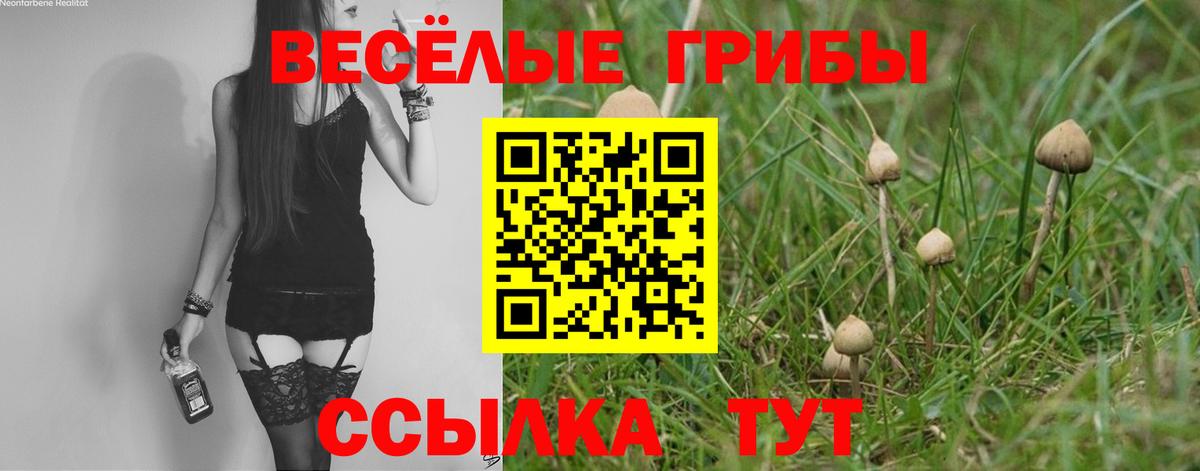 Ханты-Мансийск  наркота  Вход с VPN  Галлюциногенные грибы мицелий 